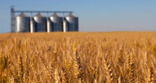 Agricultural